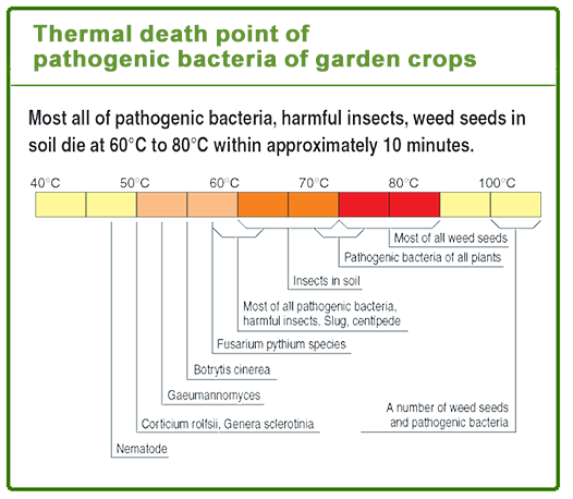Thermal death point of pathogenic bacteria of garden crops