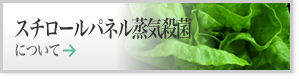 �X�`���[���p�l�����C�E�ۂɂ���